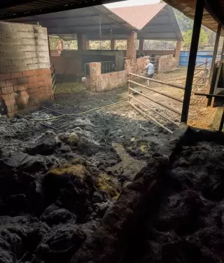 Incendios en Espa�a amenazan vidas humanas, animales y ecosistemas en m�ltiples regiones.
