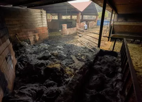 Incendios en Espa�a amenazan vidas humanas, animales y ecosistemas en m�ltiples regiones.
