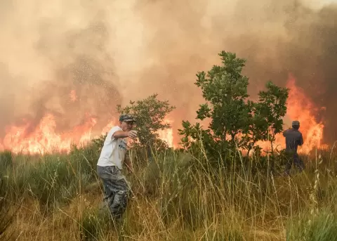 M�s de 600 bomberos enfrentan incendio que avanza en Portugal