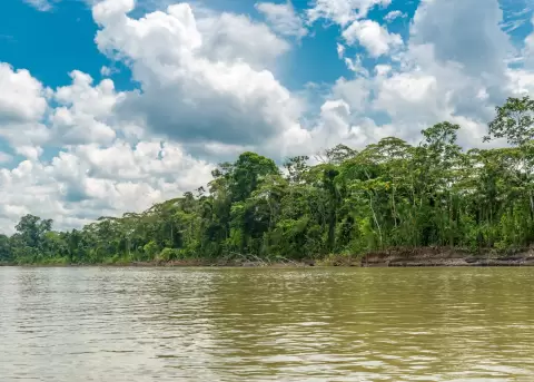 Imagen del Parque Nacional Yasun� en Ecuador.