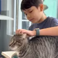 Niños leen a animalitos que esperan ser adoptados