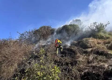 Incendio forestal se intensifica en El Quinche y mantiene en alerta a los bomberos