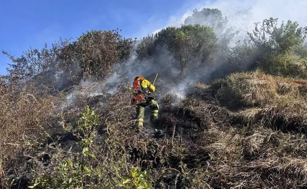 Bomberos controlan varios incendios forestales en distintos sectores de la capital