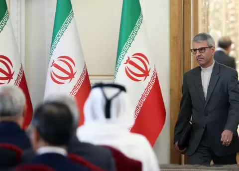 El Ministerio iran� de Exteriores, Ismail Bagaei.