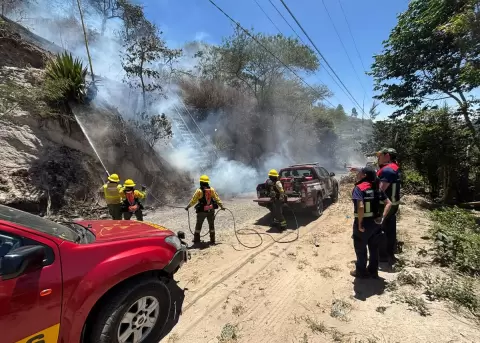 Doce incendios forestales permanecen activos en Ecuador y cuatro est�n bajo control.