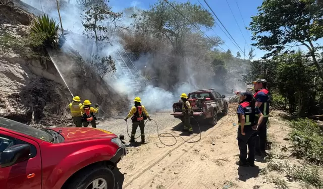 Doce incendios forestales permanecen activos en Ecuador y cuatro est�n bajo control.