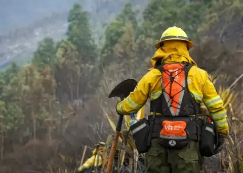 Incendio, Calacal�, Quito, bomberos, viento, carb�n, hect�reas, emergencia, vegetaci�n, prevenci�n.