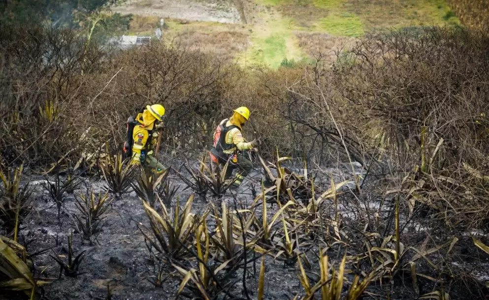 Incendios forestales: Secretar�a de Ambiente monitorea calidad del aire en Quito y alista evaluaci�n ecosist�mica