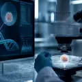 Bebés modificados: así podría la edición genética cambiar la reproducción humana