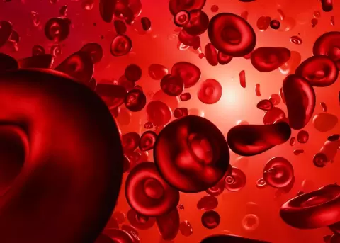 Familias denuncian interrupci�n de tratamientos para pacientes con hemofilia A