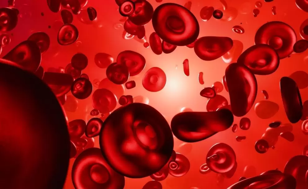 Familias denuncian interrupci�n de tratamientos para pacientes con hemofilia A