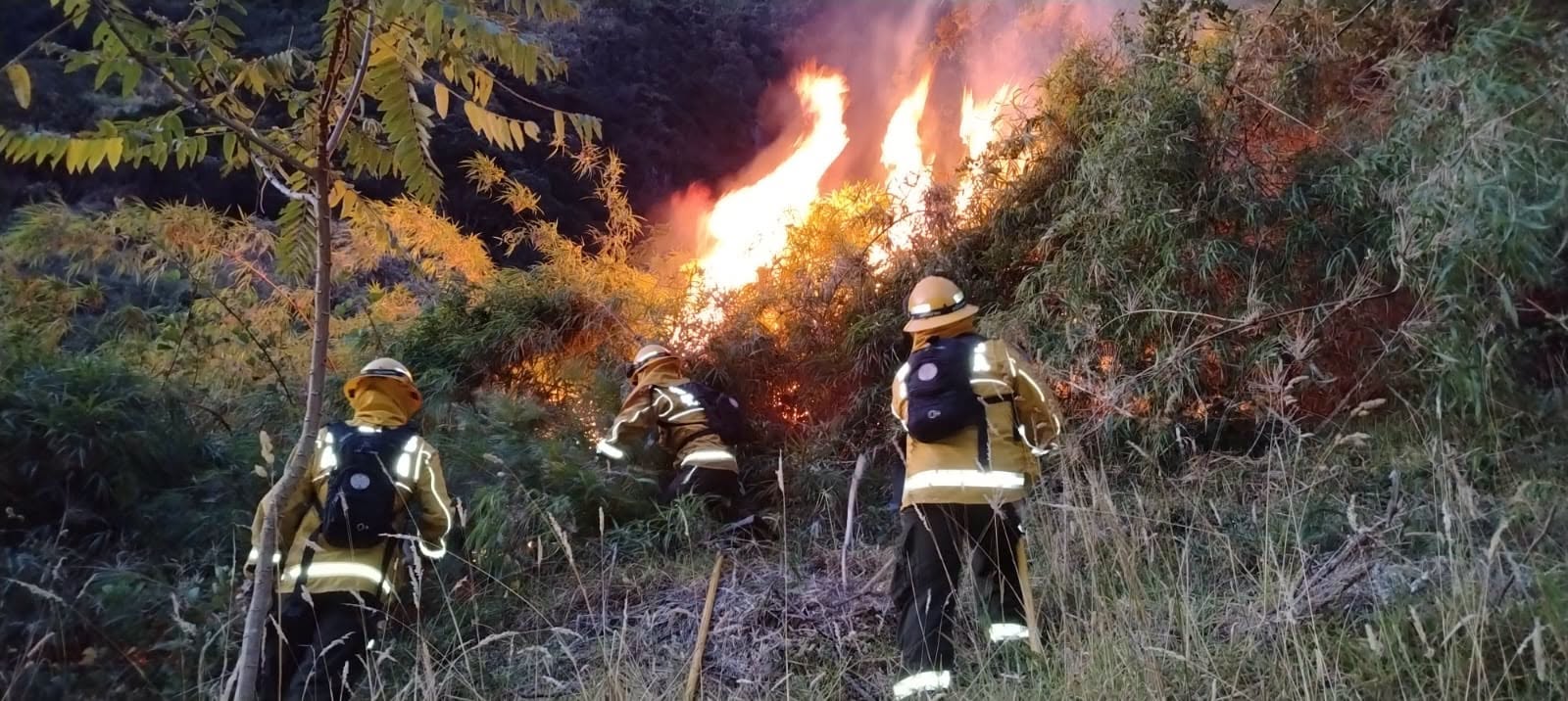 Cinco incendios forestales permanecen activos este 22 de septiembre - Notimundo
