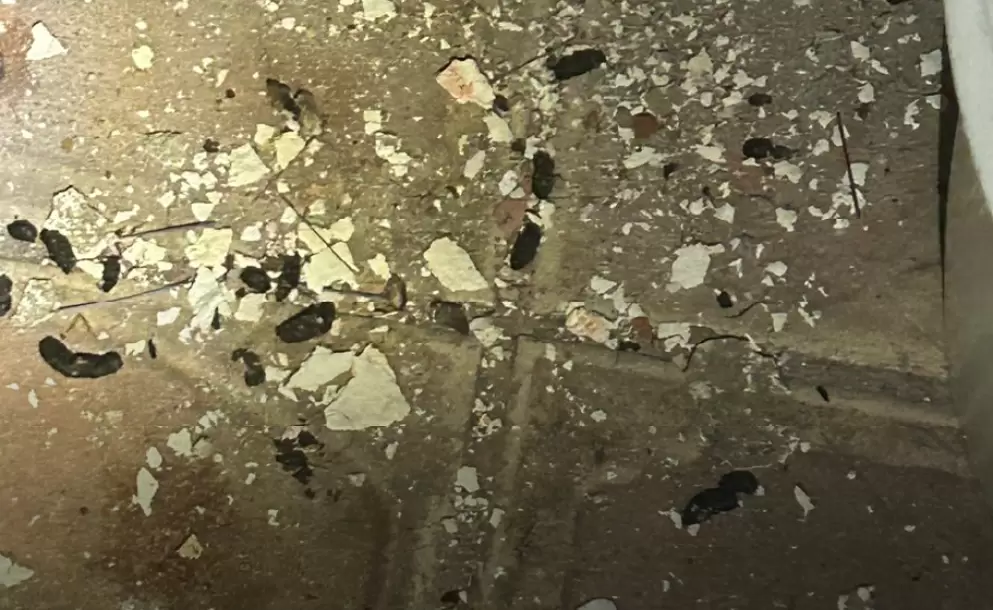 Clausuran restaurante de comida colombiana en Quito por graves irregularidades sanitarias