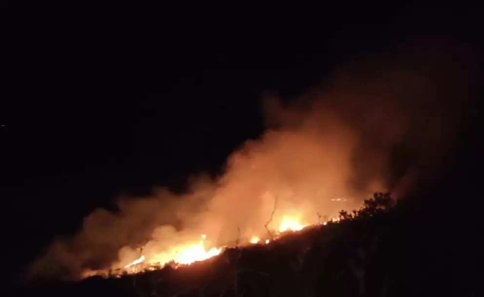 Bomberos de Quito controlaron incendios forestales en Tumbaco y P�ntag