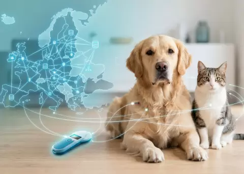 La Uni�n Europea refuerza identificaci�n, registro y trazabilidad de mascotas.