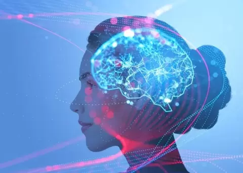 Neurociencia explica c�mo emociones y creencias pueden convertirnos en instrumentos del da�o.