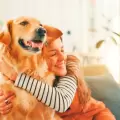 Un estudio revela que el cerebro de los perros distingue emociones humanas