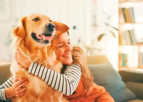 Los perros pueden detectetr m�s de los humanos de lo que pensamos.