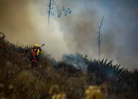 Incendio forestal en el cerro Casitagua.