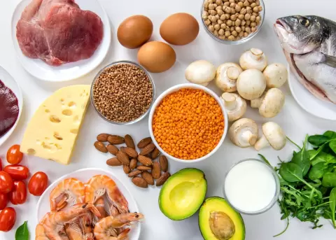 �Es lo mismo alimentaci�n y nutrici�n?