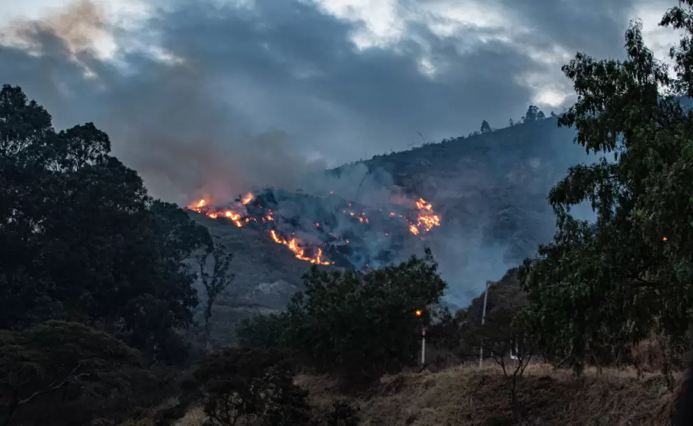 Incendio en el Casitagua est� pr�ximo a ser liquidado: alcalde Pabel Mu�oz asegura que el flagelo fue 