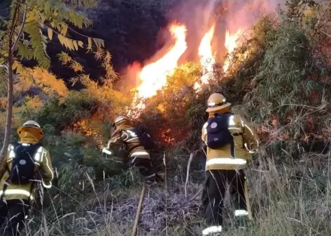 Bomberos de Ibarra combaten un incendio forestal.