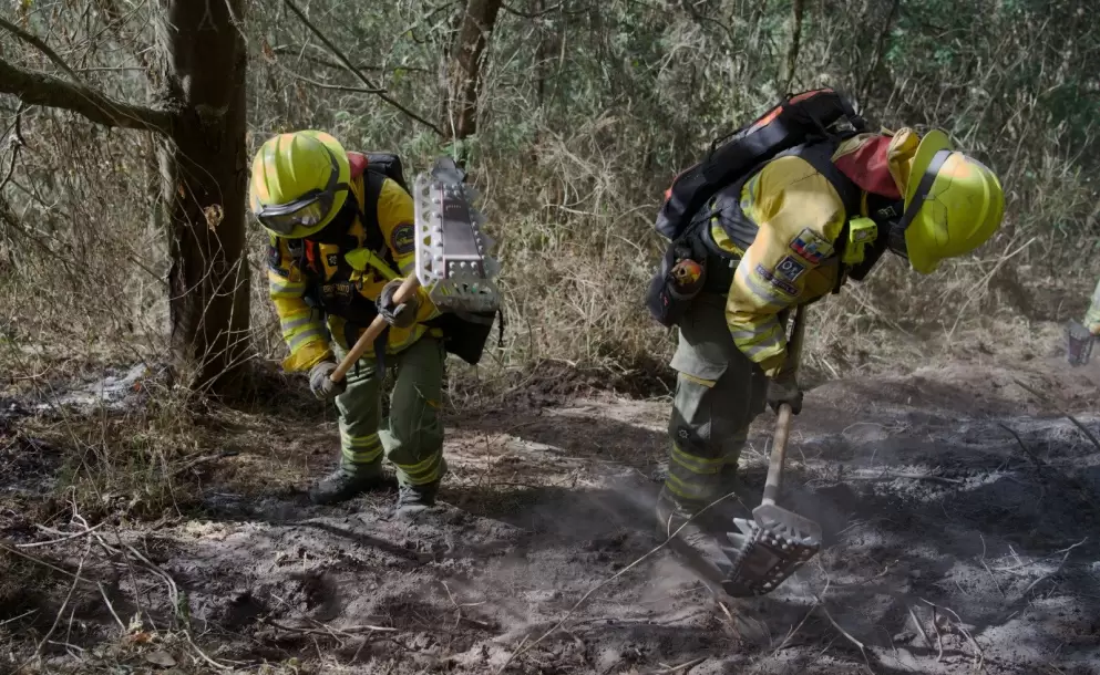 Incendio en Casitagua deja 525 hect�reas afectadas