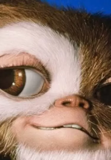 Gizmo volver� al cine, pero los fan�ticos tendr�n que esperar m�s.