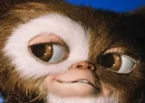 Gizmo volver� al cine, pero los fan�ticos tendr�n que esperar m�s.