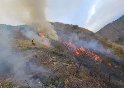 Bomberos combaten un incendio forestal.
