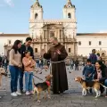 Quito bendecir� a las mascotas: conozca cu�ndo y d�nde