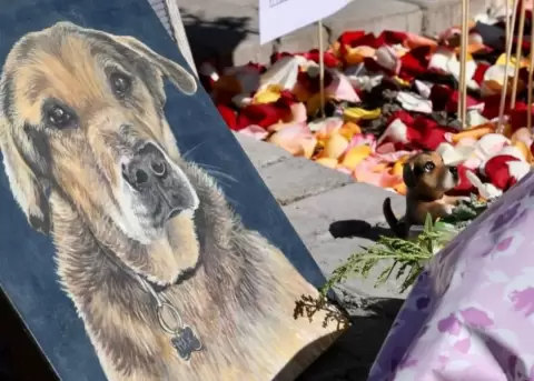 Un homenaje a Max, el poliperro que acompa�� a estudiantes, docentes y vecinos.