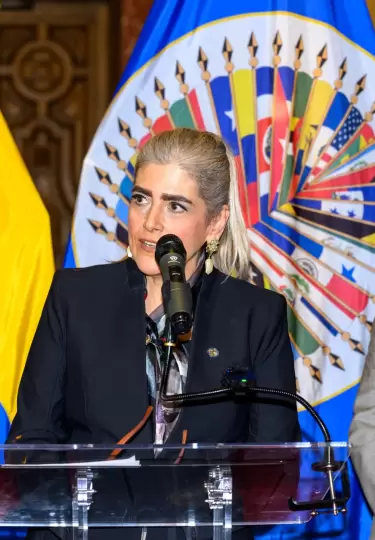 M�nica Palencia asumi� la Presidencia del Consejo Permanente de la OEA el 01 de octubre de 2026.