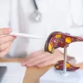 Casos de Hepatitis A en Ecuador