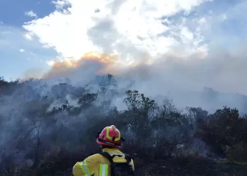 Bomberos de Cuenca combaten un incendio forestal.