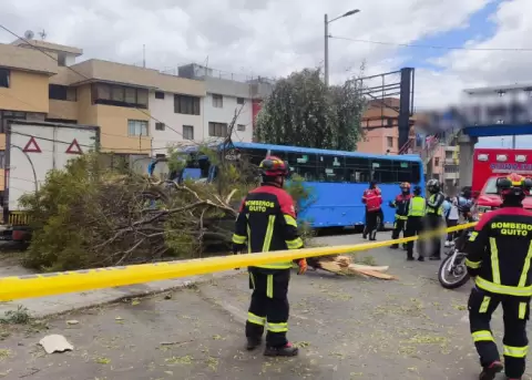 Cierre en la avenida Occidental, norte de Quito, por accidente de tr�nsito
Para hacer uso de este contenido cite la fuente y haga un enlace a la nota