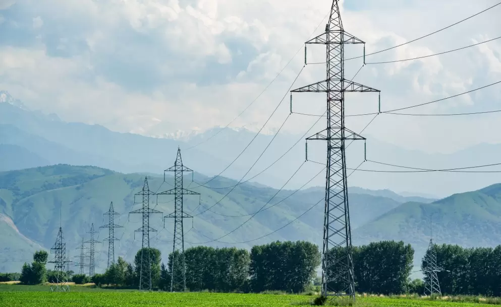 Colombia reanuda la venta de energ�a el�ctrica a Ecuador, anuncia Daniel Noboa